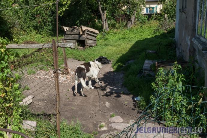 Institūciju bezdarbība noved līdz traģiskam fināla