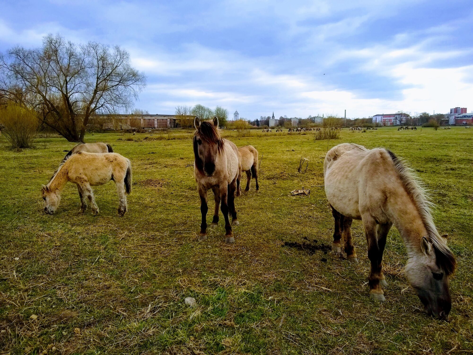 Ceturtdiena būs apmākusies