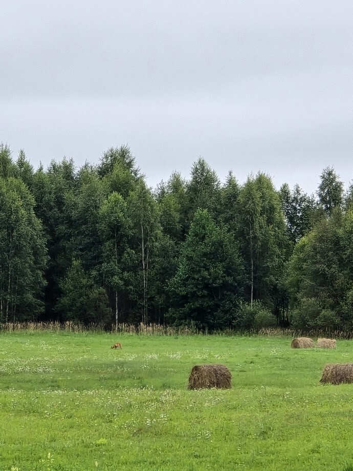 Piektdien daudzviet īslaicīgi līs